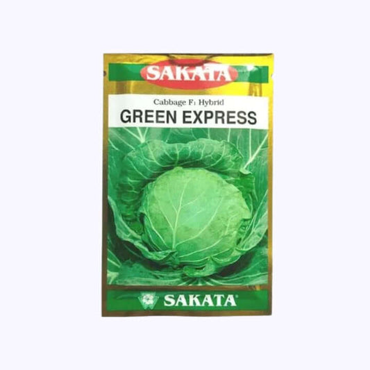 Green Express Cabbage Seeds - Sakata | F1 Hybrid | Buy Online at Best Price