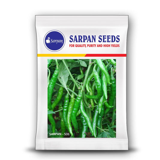 Sarpan 531 Chilli Seeds | F1 Hybrid Mirchi | Buy Online at Best Price