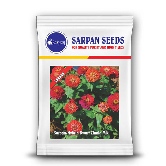 Sarpan Dwarf Zinnia Mix Seeds | F1 Hybrid | Buy Online at Best Price