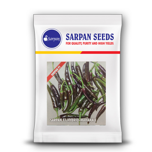 Sarpan Mahakali Chilli Seeds| F1 Hybrid | Buy Online at Best Price