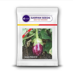 Sarpan - 65 Brinjal Seeds | F1 Hybrid | Buy Online at Best Price