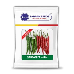 Sarpan F1 - 4444 Chilli Seeds | F1 Hybrid | Buy Online at Best Price