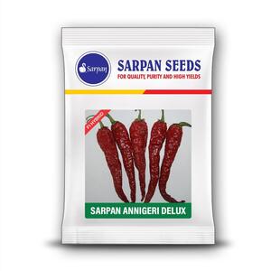 Sarpan Annigeri Delux Chilli Seeds | F1 Hybrid | Buy Online at Best Price