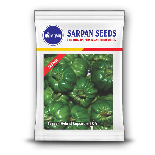 Sarpan TX-9 Capsicum Seeds | F1 Hybrid | Buy Online at Best Price