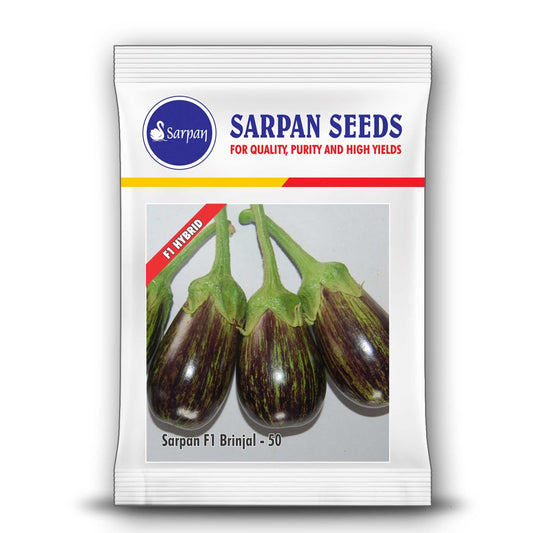 Sarpan - 50 Brinjal Seeds | F1 Hybrid | Buy Online at Best Price