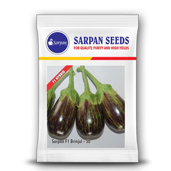 Sarpan - 50 Brinjal Seeds | F1 Hybrid | Buy Online at Best Price ...