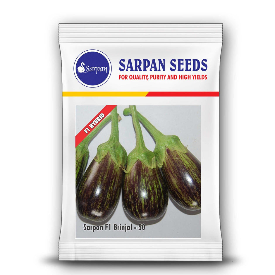 Sarpan Seeds - Brinjal Seeds | Buy Online at Best Price – Desikheti