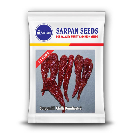 Sarpan Dandicut - 2 Chilli Seeds | F1 Hybrid | Buy Online at Best Price