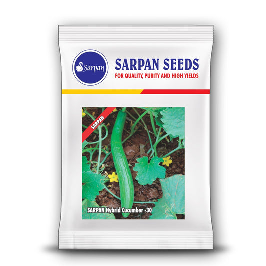 Sarpan - 30 Cucumber Seeds | F1 Hybrid | Buy Online at Best Price