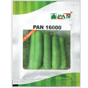 Pan 16000 Bottle Gourd Seeds | F1 Hybrid | Buy Online at Best Price