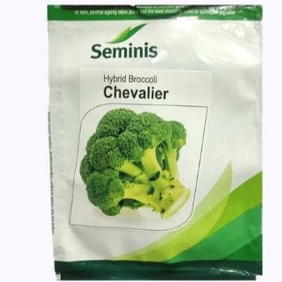 Chevalier Broccoli Seeds | Buy Online At Best Price