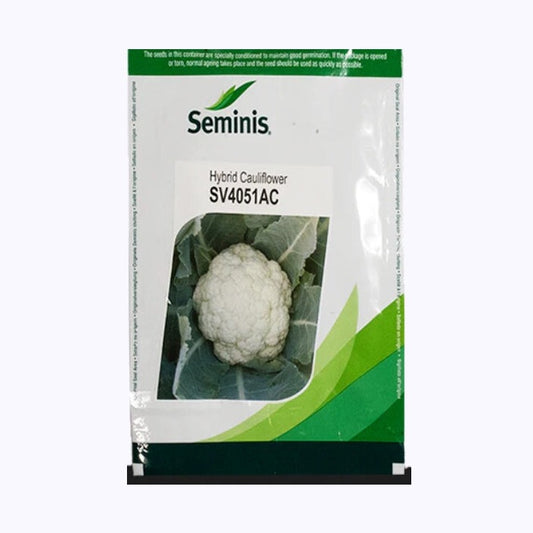 SV4051AC Cauliflower Seeds | Buy Online At Best Price