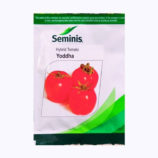 Yoddha Tomato Seeds | Buy Online At Best Price
