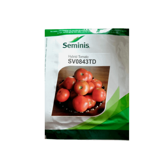 SV0843TD Tomato Seeds | Buy Online At Best Price