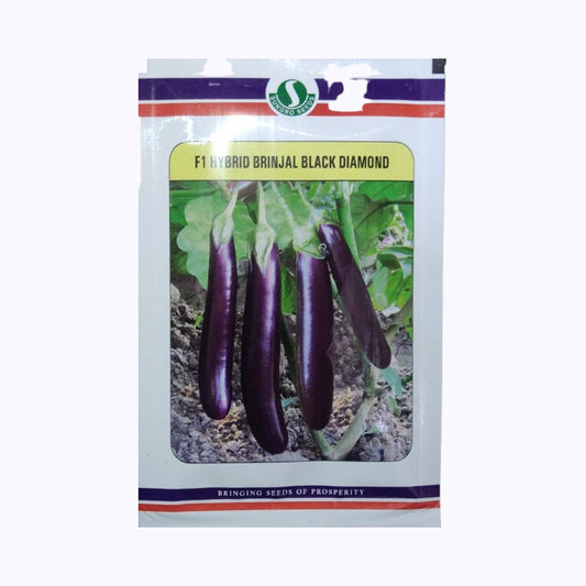Black Diamond Brinjal Seeds - Sungro | F1 Hybrid | Buy Online at Best Price