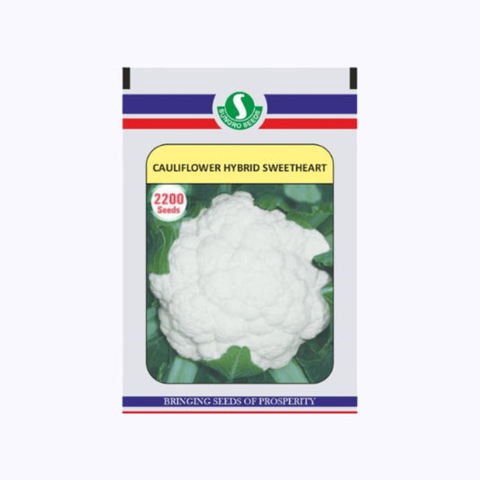Sweetheart Cauliflower Seeds - Sungro | F1 Hybrid | Buy Online at Best Price