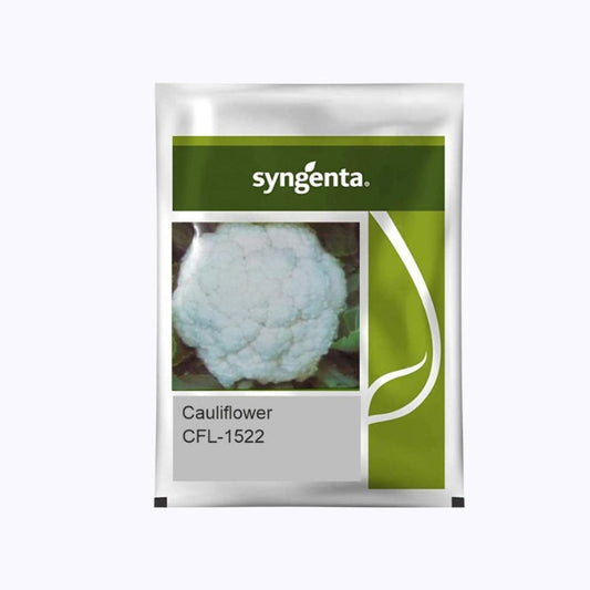 CFL-1522 Cauliflower Seeds - Syngenta | F1 Hybrid | Buy Online at Best Price