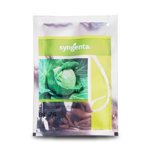 BC 76 Cabbage Seeds - Syngenta | F1 Hybrid | Buy Online at Best Price