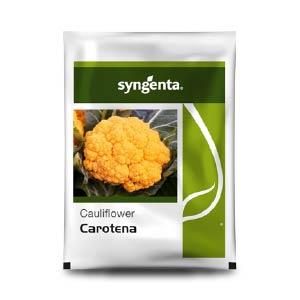 Carotena Cauliflower Seeds - Syngenta | F1 Hybrid | Buy Online at Best Price