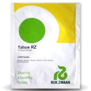 Tahoe RZ Broccoli Seeds - Rijk Zwaan | F1 Hybrid | Buy Online at Best Price