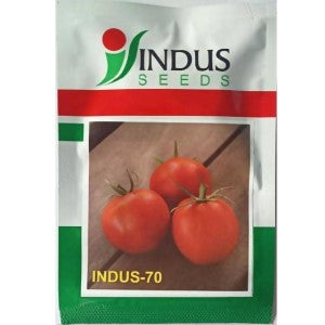 Indus - 70 Tomato Seeds | F1 Hybrid | Buy Online at Best Price