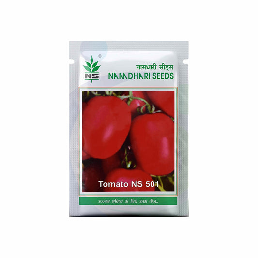 NS 501 (6H 81) Tomato Seeds - Namdhari | F1 Hybrid | Buy Online at Best Price