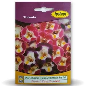 Torenia Seeds - Indo American | F1 Hybrid | Buy Online at Best Price