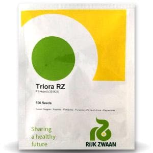 Triora RZ (35-903) Orange Capsicum Seeds - Rijk Zwaan | F1 Hybrid | Buy Online at Best Price