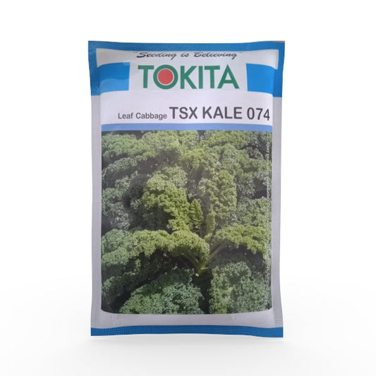 Leaf Cabbage TSX Kale 074 Seeds - Tokita | F1 Hybrid | Buy Online at Best Price