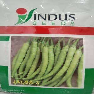 Indus Jalsa 3 Chilli Seeds | F1 Hybrid | Buy Online at Best Price