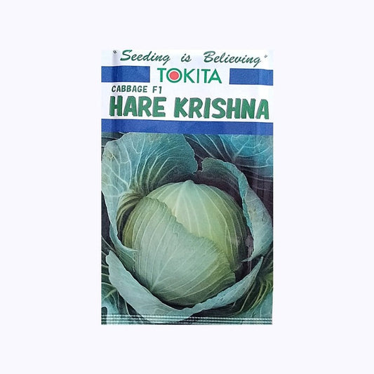 Hare Krishna Cabbage Seeds - Tokita | F1 Hybrid | Buy Online at Best Price