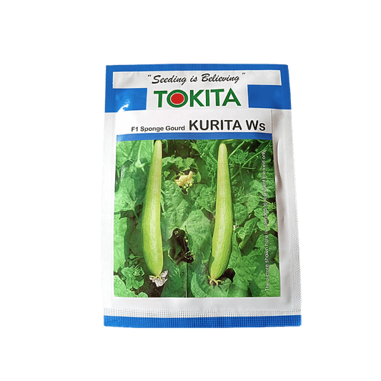 Kurita WS Sponge Gourd - Tokita | F1 Hybrid | Buy Online at Best Price