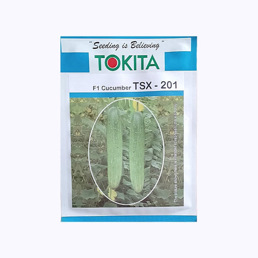 TSX-201 Cucumber Seeds - Tokita | F1 Hybrid | Buy Online at Best Price