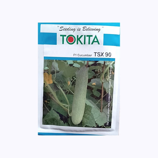 TSX-90 Cucumber Seeds - Tokita | F1 Hybrid | Buy Online at Best Price