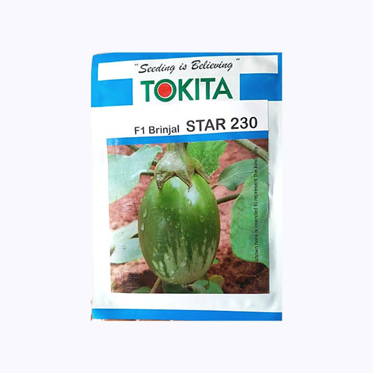 Star 230 Brinjal Seeds - Tokita | F1 Hybrid | Buy Online at Best Price
