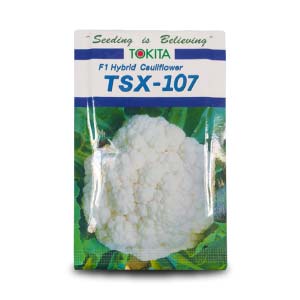 TSX - 107 Cauliflower Seeds - Tokita | F1 Hybrid | Buy Online at Best Price