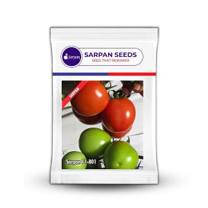 Sarpan - 801 Tomato Seeds | F1 Hybrid | Buy Online at Best Price