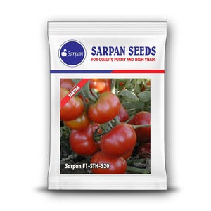 Sarpan STH - 520 Tomato Seeds | F1 Hybrid | Buy Online at Best Price