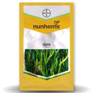 Ujala Chilli Seeds - Nunhems | F1 Hybrid | Buy Online at Best Price