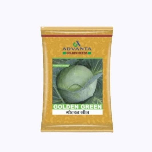 Golden Green Cabbage Seeds - Advanta | F1 Hybrid | Buy Online at Best Price