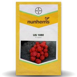 US 1080 Tomato Seeds - Nunhems | F1 Hybrid | Buy Online at Best Price
