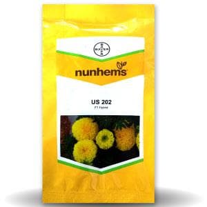 US 202 Marigold Seeds - Nunhems | F1 Hybrid | Buy Online at Best Price