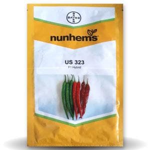 US 323 Chilli Seeds - Nunhems | F1 Hybrid | Buy Online at Best Price