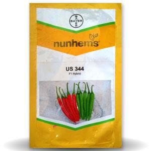 US 344 Chilli Seeds - Nunhems | F1 Hybrid | Buy Online at Best Price