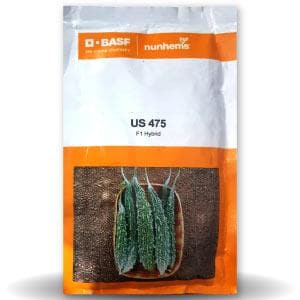 US 475 Bitter Gourd Seeds - Nunhems | F1 Hybrid | Buy Online at Best Price