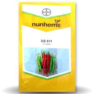 US 611 Chilli Seeds - Nunhems | F1 Hybrid | Buy Online at Best Price