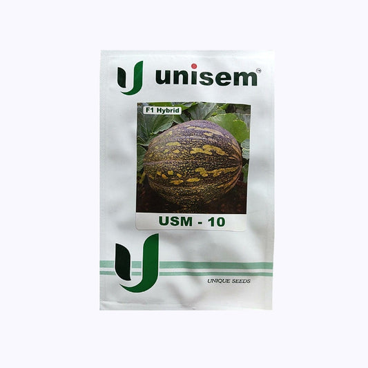 USM - 10 Pumpkin Seeds | Buy Online At Best Price