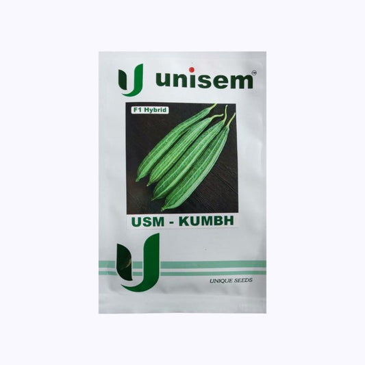 USM - Kumbh Ridge Gourd Seeds | Buy Online At Best Price