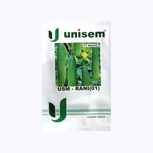 USM - Rani Cucumber Seeds | Buy Online At Best Price
