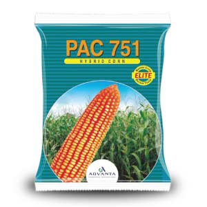 Pac 751 Elite Corn Seeds - Advanta | F1 Hybrid | Buy Online at Best Price